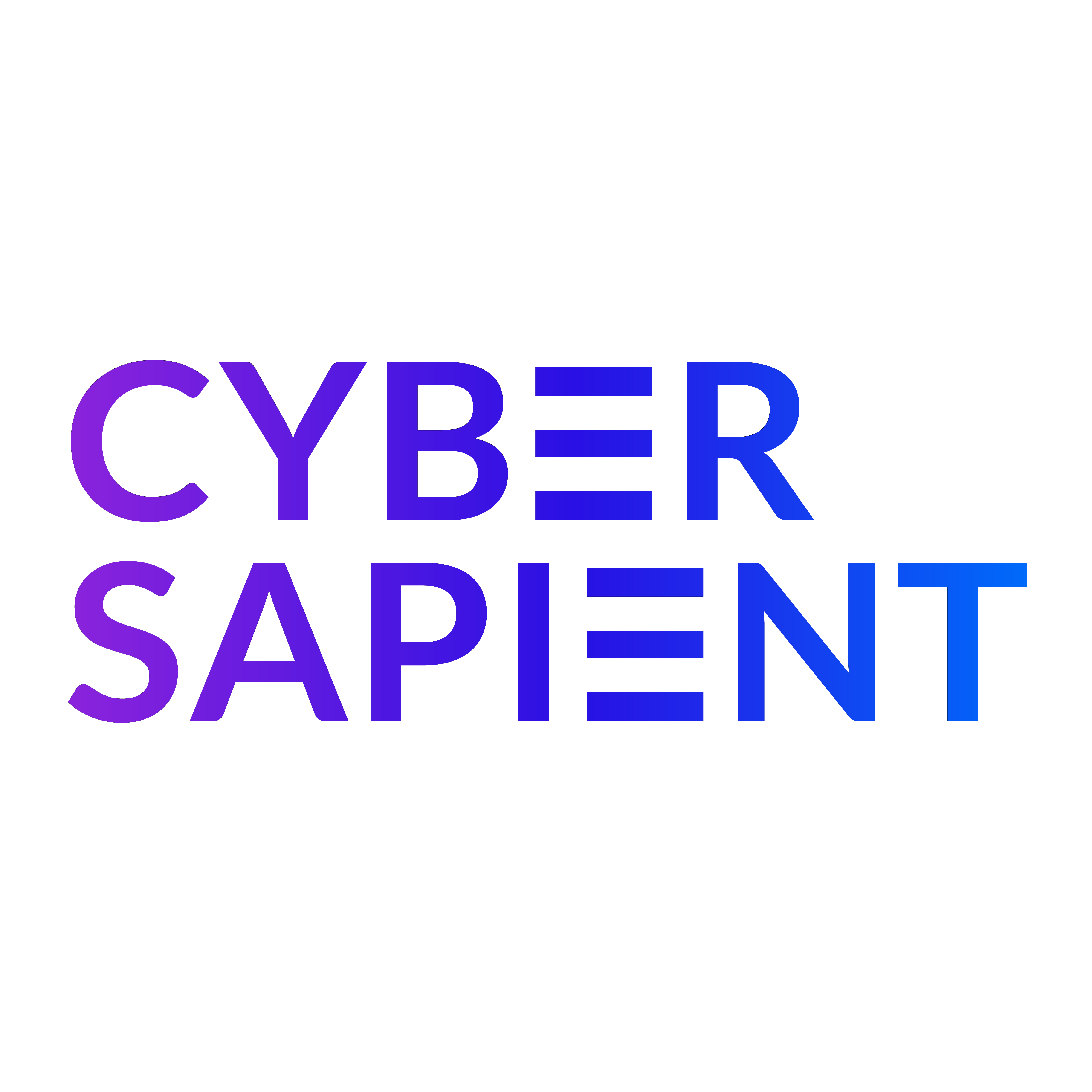 Cyber Sapient Technologies